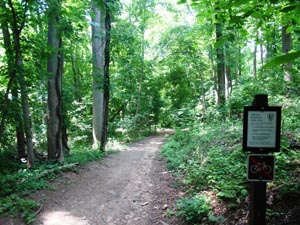 Chevy Chase's Rock Creek Park